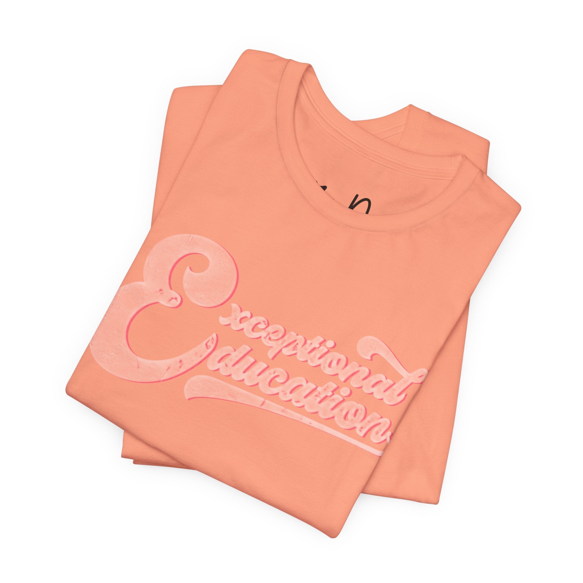 Copy of Copy of Personalized Para Professional Shirt | Custom Name Paraprofessional Tee | Faux Embroidered Appliqué Teacher Assistant Shirt |