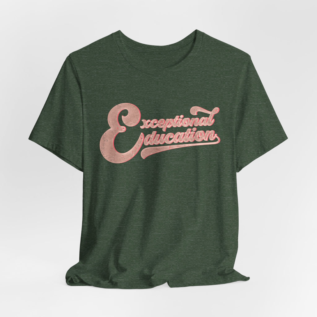 Exceptional Education Teacher Shirt